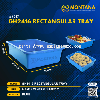 (6017) GH2416 RECTANGULAR TRAY
