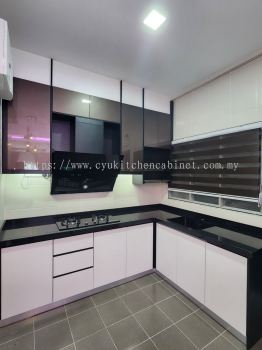 Acrylic Kitchen Cabinet