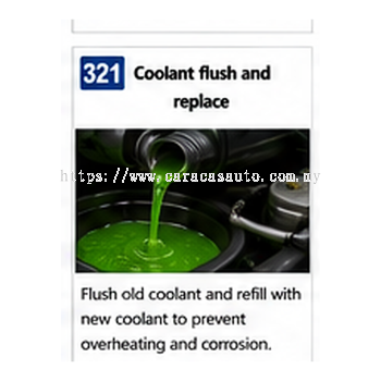 Coolant Flush And Replace