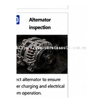 Alternator Inspection