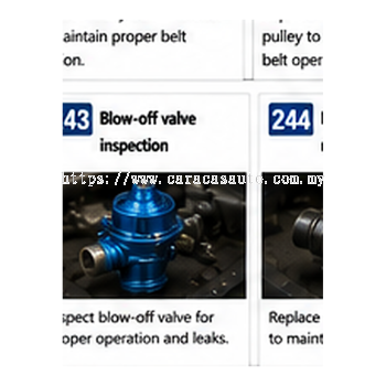 Blow Off Valve Inspection