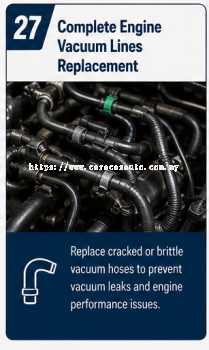 Complete Engine Vacuum Lines Replacement