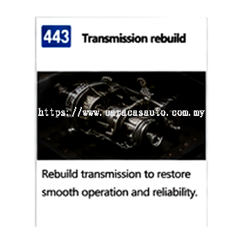 Transmission & Drivetrain