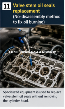 Oil, Fluid Leakage & Gasket