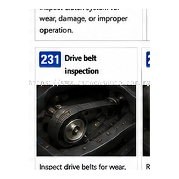 Drive Belt Inspection