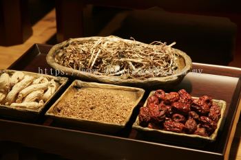 Chinese Herbal Therapy