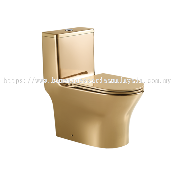 Saniware Rimless One Piece Closet Toilet Bowl WC-9393-S250mm-G