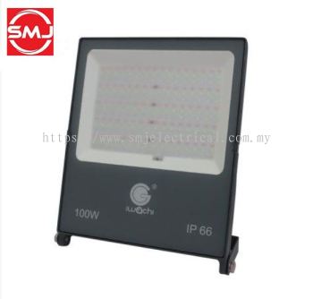 Iwachi ISF100/II 100W LED Floodlight