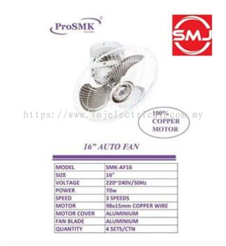 Prosmk 16�� Auto Fan