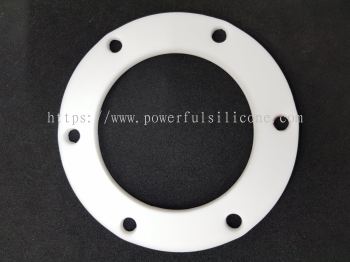 PTFE Gasket Seal