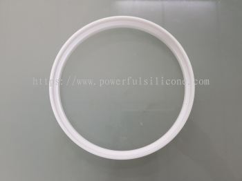 PTFE Ring 21Hx175IDx192OD