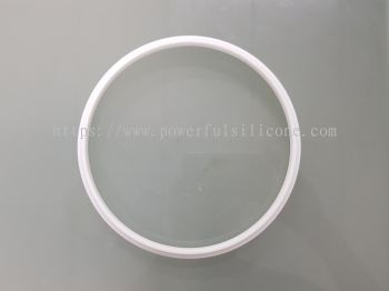 PTFE Ring 21Hx175IDx192OD