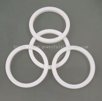 PTFE Gasket Seal