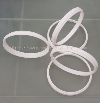 PTFE / Teflon Ring Gasket