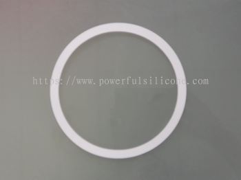 PTFE Gasket Ring