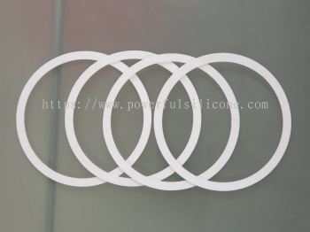 PTFE / Teflon Gasket