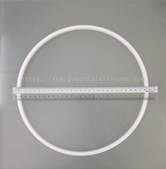 PTFE Ring Seal