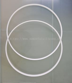 PTFE Ring Gasket