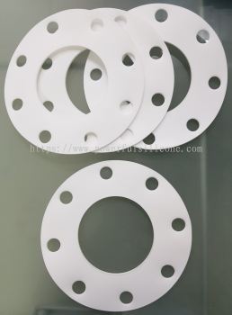 PTFE Gasket FF