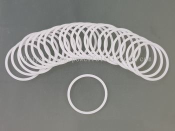 PTFE-Gasket-Ring