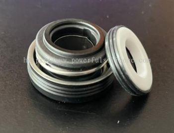 Mechanical Seal 12mm Part no-TSFT-Ca-Ce-NBR