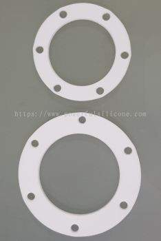 Virgin PTFE Gasket FF