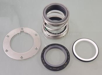 DH BCEEA 45-50 Mechanical Seal