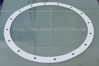 FF Gasket PTFE 