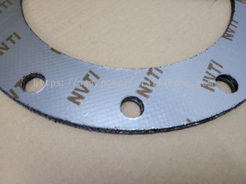 NV TI Tanged Insert Graphite Gasket