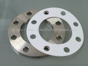 PTFE Gasket FF