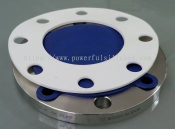 PTFE-FF-Gasket