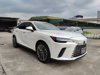 2023 LEXUS RX350 VERSION L (LUXURY) (0035)