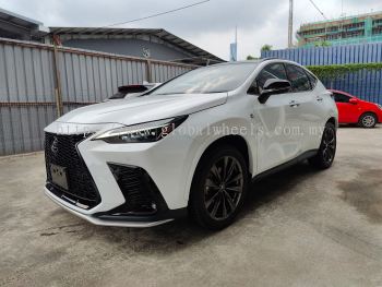 2022 LEXUS NX350 F SPORT (1824)