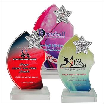 8202 - EXCLUSIVE CRYSTAL GLASS STAR AWARDS