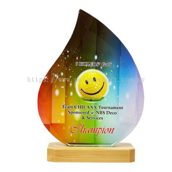 8348 - COLOUR CRYSTAL AWARDS