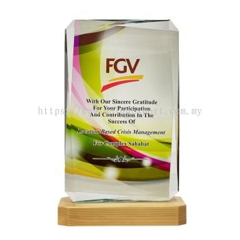 8349 - COLOUR CRYSTAL AWARDS