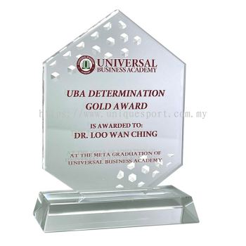 5193 - ACRYLIC PLAQUE
