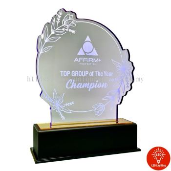 5199 - ACRYLIC PLAQUE