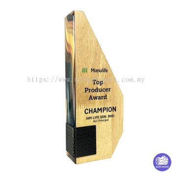 7538 - WOODEN TROPHY