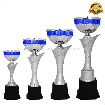 4191 - METAL BOWL TROPHY