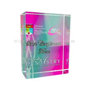 8191 - CYSTAL PAPER WEIGHT