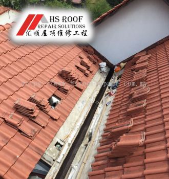 Hidden Roof Gutter