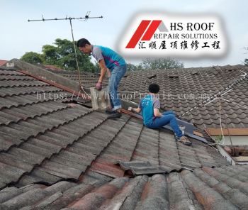 Roof Maintenance