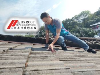 Roof Inspection