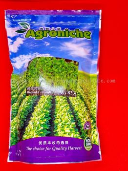 AG823 Holand Coriander  荷兰芫茜