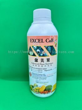 Excel Cab 愈美果