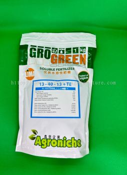 Gro Green 13-40-13+TE 