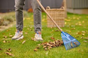 Landscaping Cleaning
