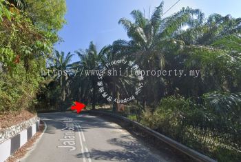 [FOR SALE] Agricultural Land At Kawasan Machang Bubok, Bukit Mertajam