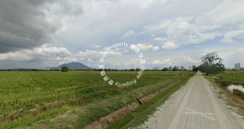 [FOR SALE] Agricultural Land At Kawasan Permatang Pauh, Permatang Pauh